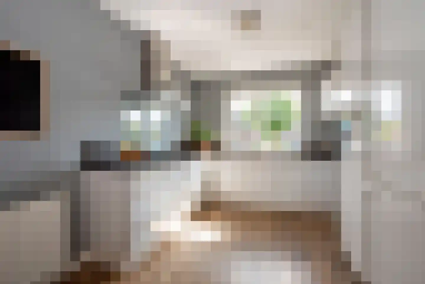 Bereklauw 17 Rijssen thumbnail 7