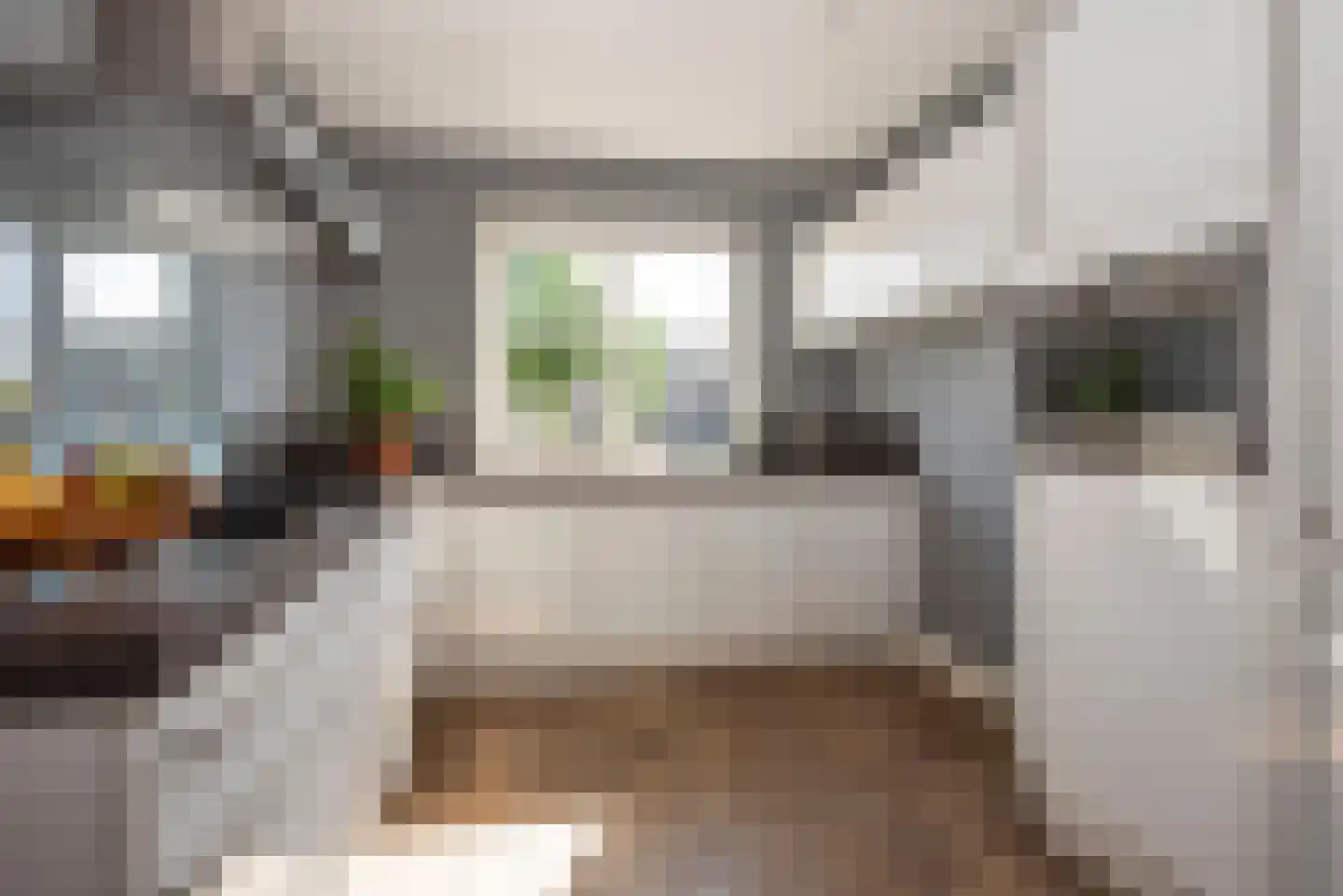 Bereklauw 17 Rijssen thumbnail 8