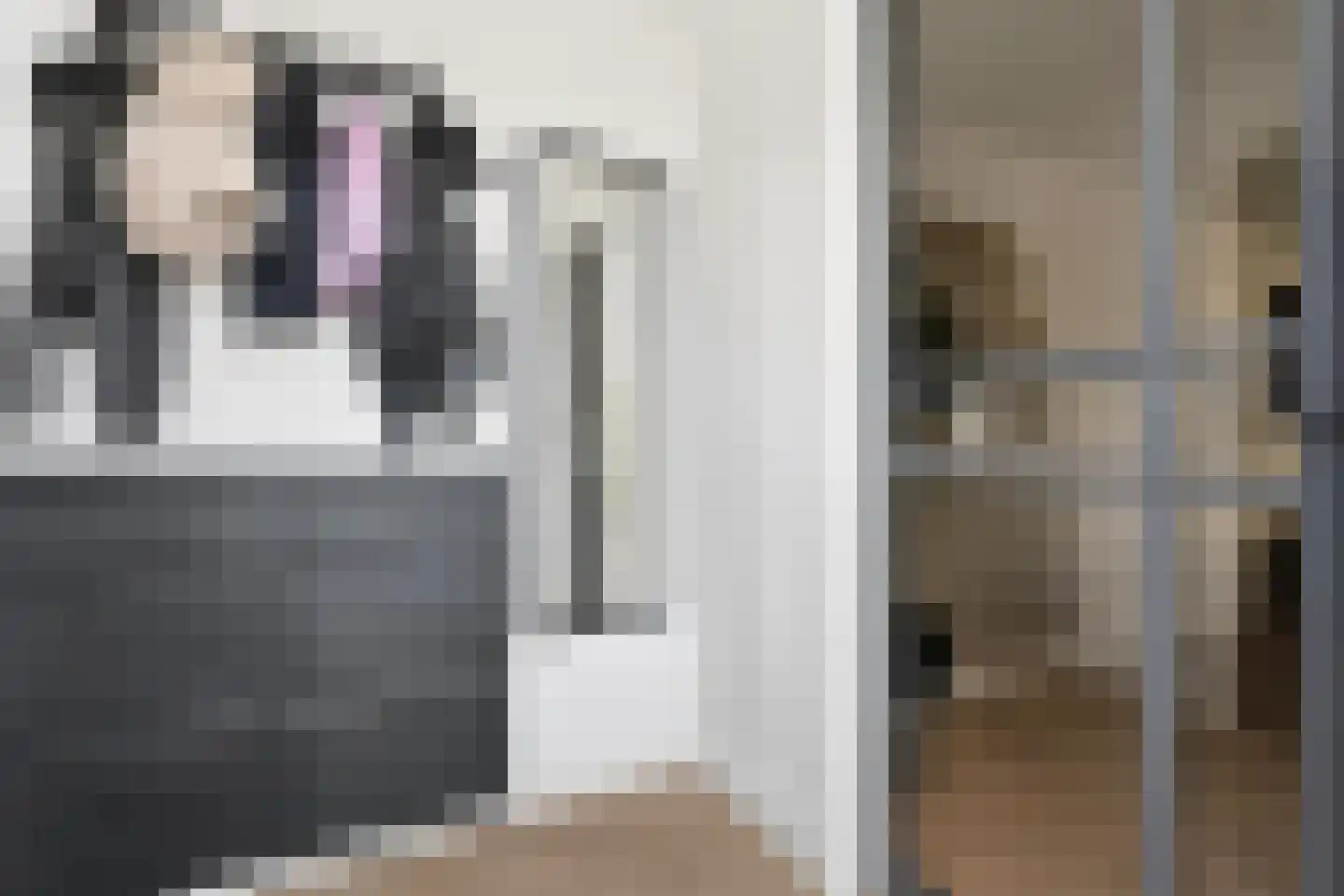 Bereklauw 17 Werkendam thumbnail 19