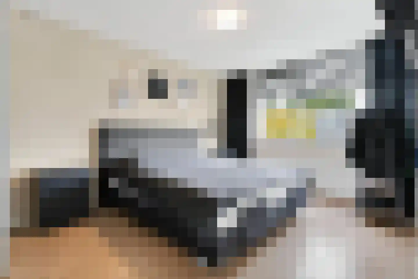 Bereklauw 17 Werkendam thumbnail 23