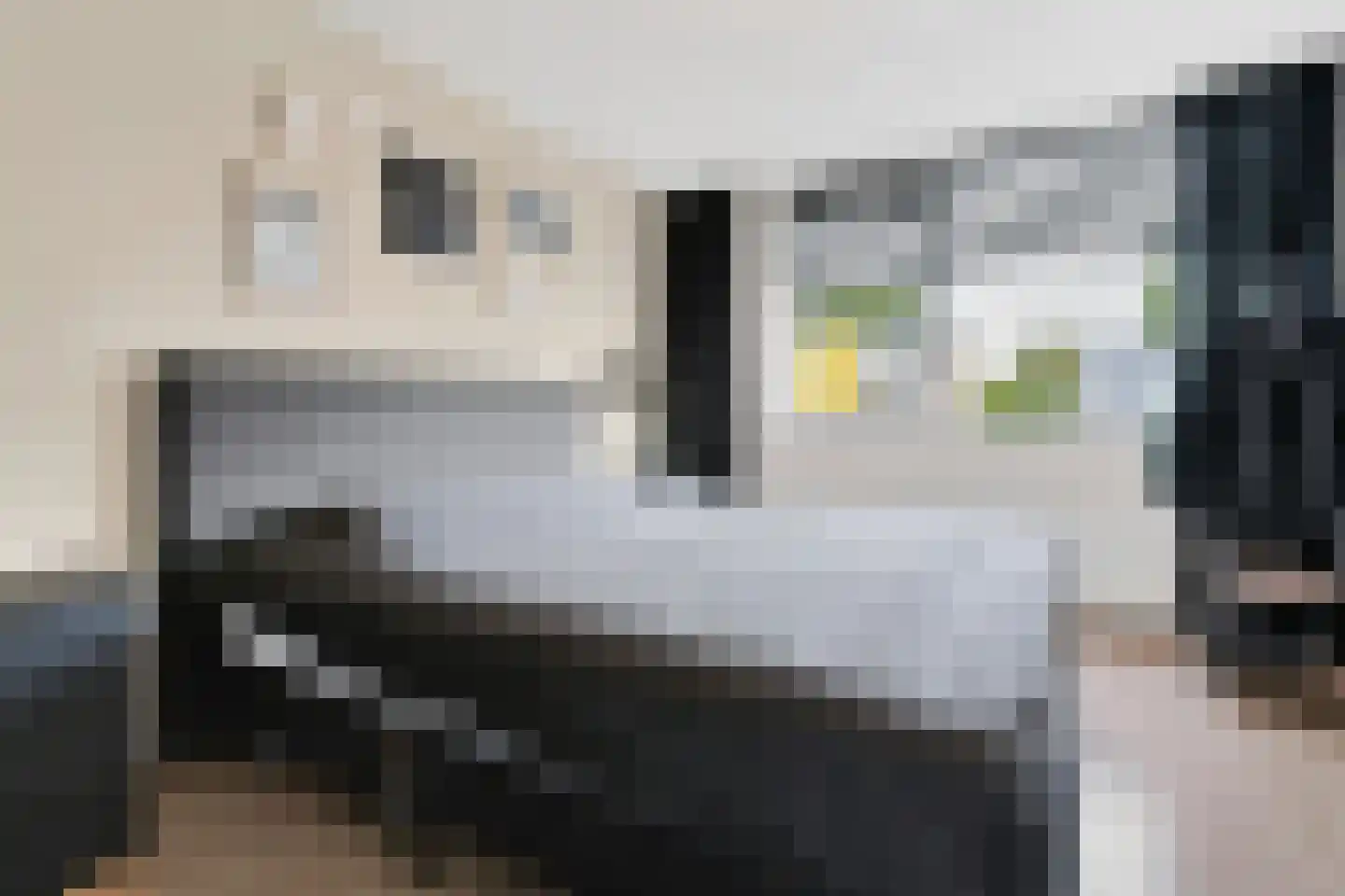 Bereklauw 17 Werkendam thumbnail 24