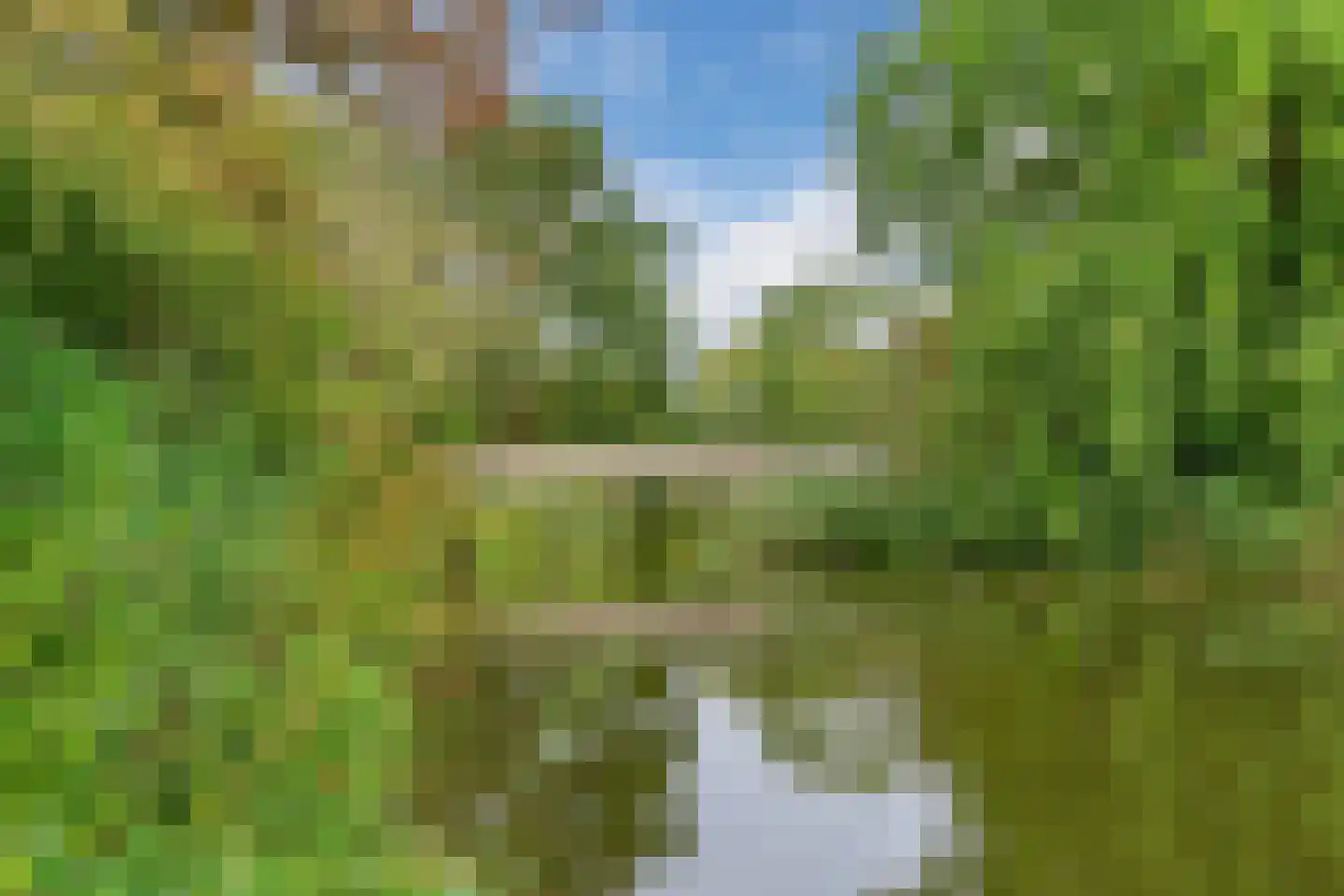 Bereklauw 17 Werkendam thumbnail 52