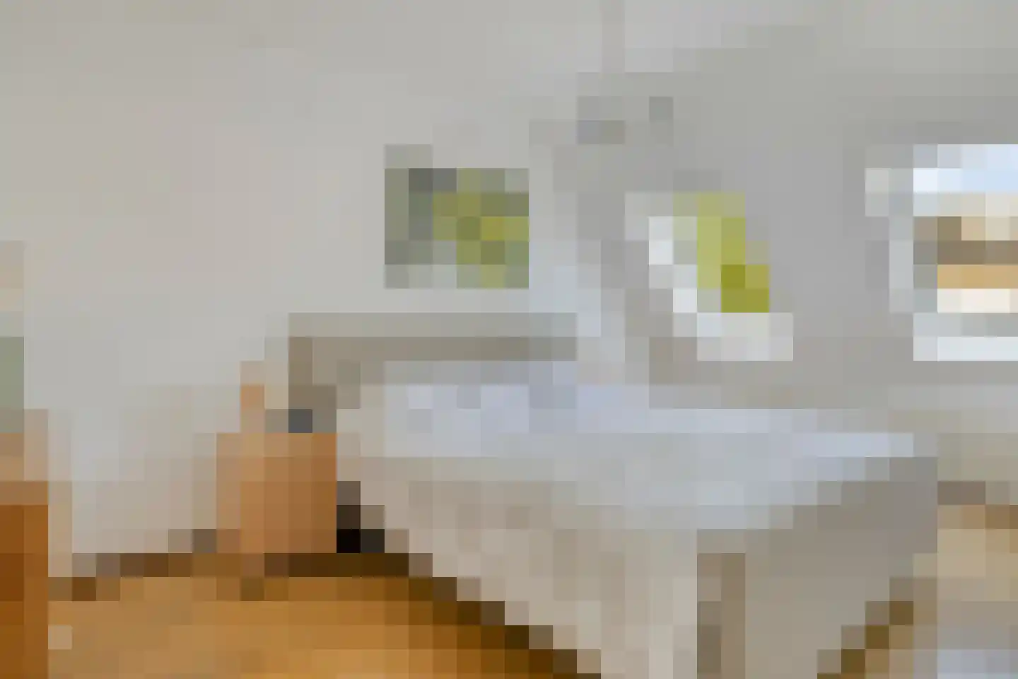Bereklauw 18 Culemborg thumbnail 17