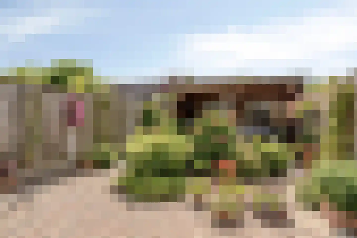 Bereklauw 18 Culemborg thumbnail 27