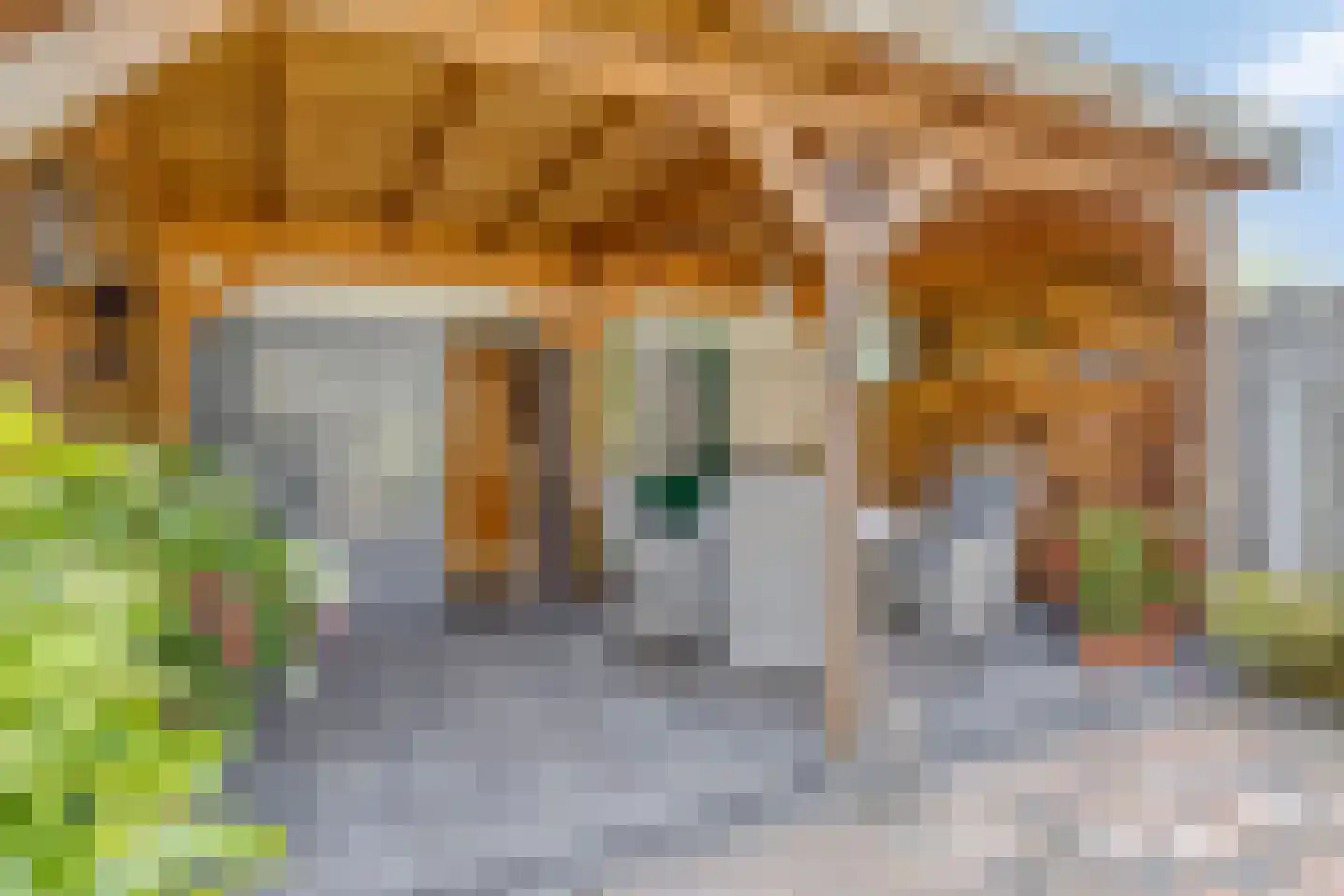 Bereklauw 18 Culemborg thumbnail 28
