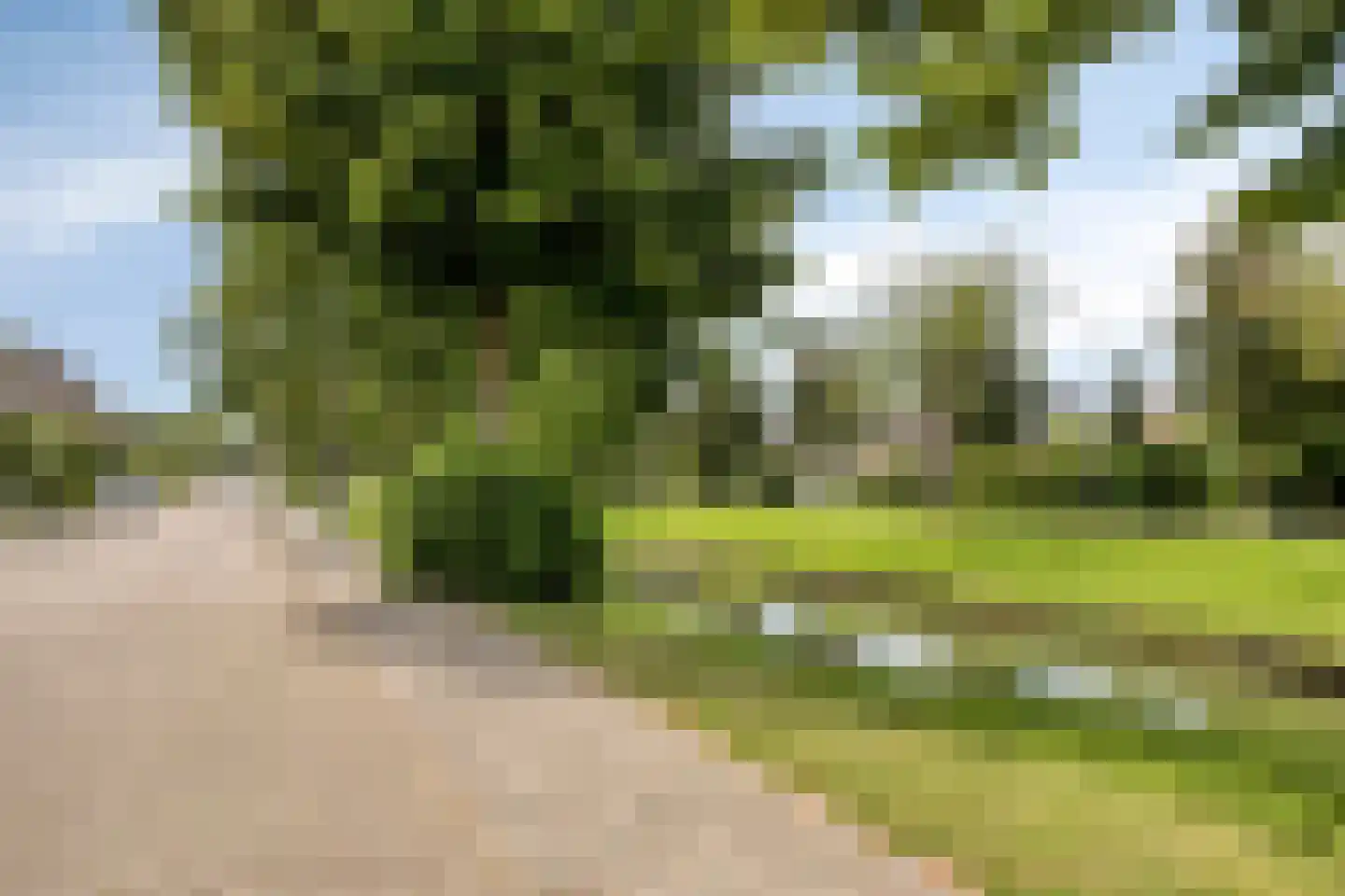 Bereklauw 18 Culemborg thumbnail 32