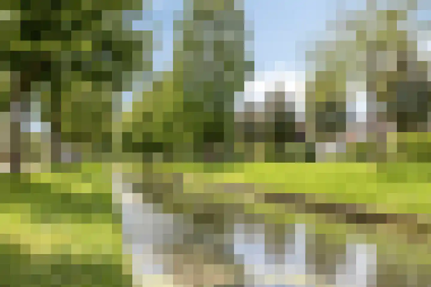 Bereklauw 18 Culemborg thumbnail 4