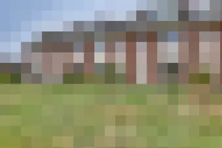 Bereklauw 23 Rijssen