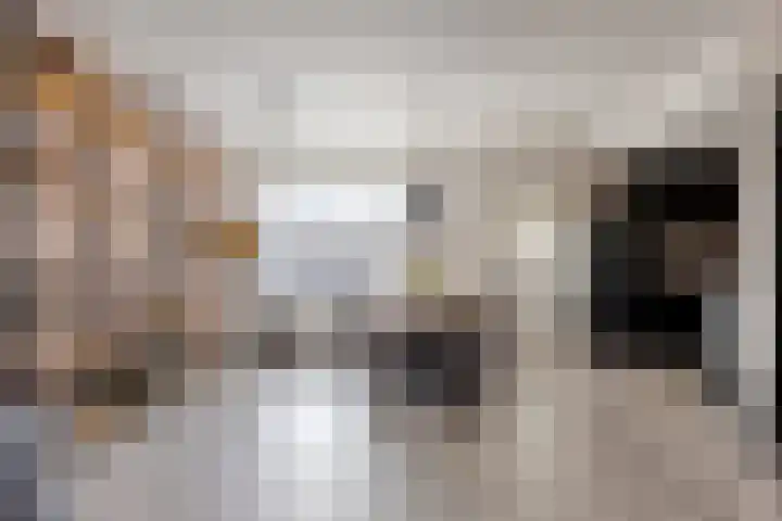 Bereklauw 25 Cuijk thumbnail 17