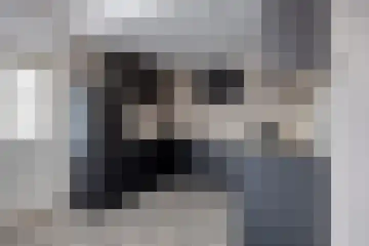 Bereklauw 25 Cuijk thumbnail 19