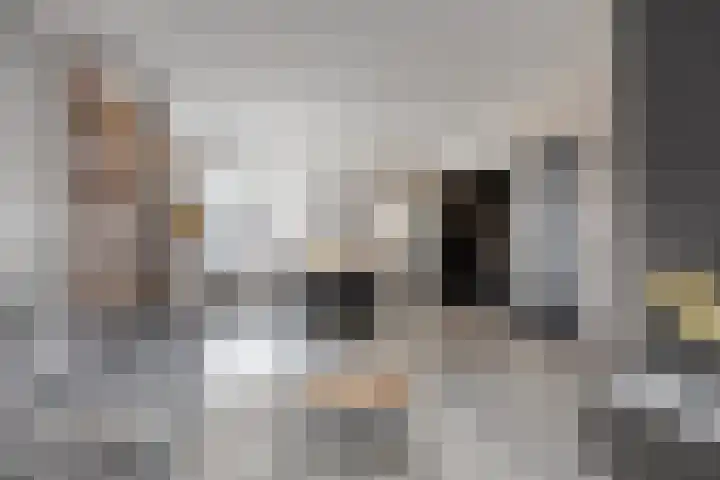 Bereklauw 25 Cuijk foto 2