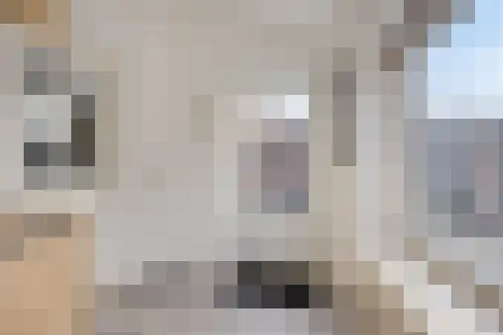 Bereklauw 25 Cuijk thumbnail 22