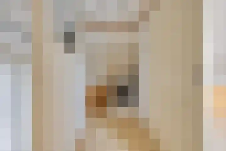 Bereklauw 25 Cuijk thumbnail 32