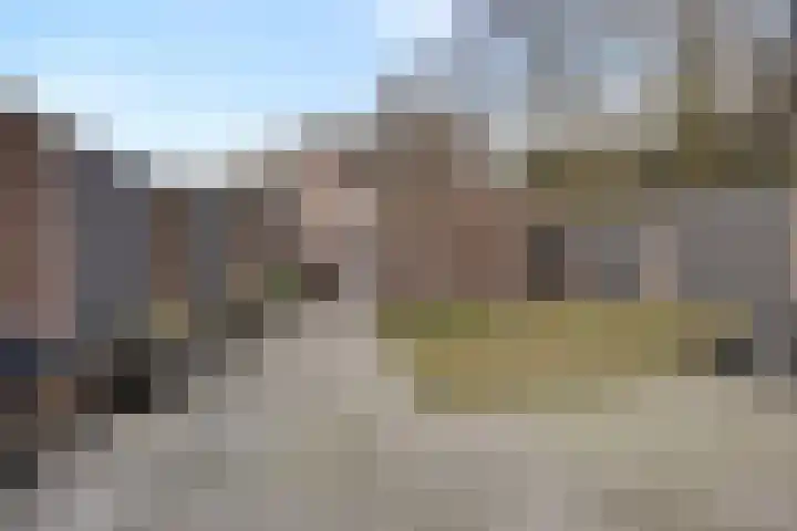 Bereklauw 25 Cuijk thumbnail 36