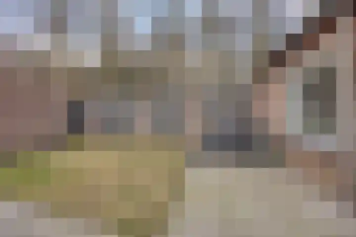 Bereklauw 25 Cuijk thumbnail 37