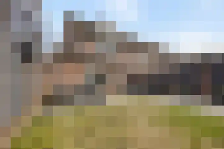 Bereklauw 25 Cuijk thumbnail 38