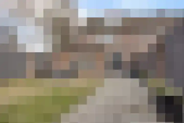 Bereklauw 25 Cuijk thumbnail 39