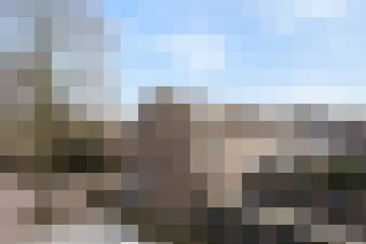 Bereklauw 25 Cuijk thumbnail 45