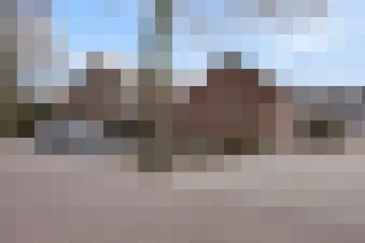 Bereklauw 25 Cuijk thumbnail 46
