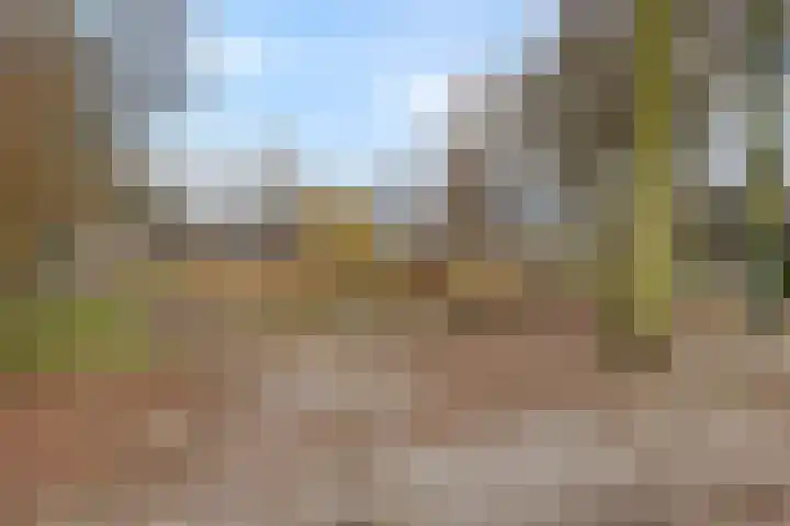 Bereklauw 25 Cuijk thumbnail 47