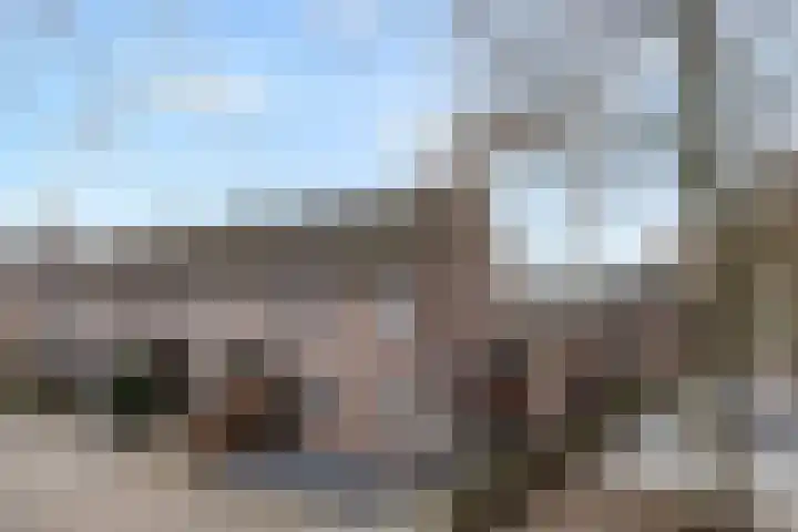 Bereklauw 25 Cuijk thumbnail 5