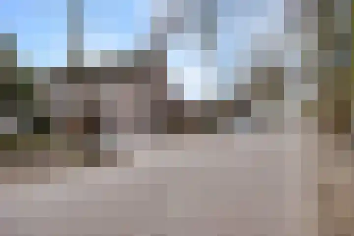 Bereklauw 25 Cuijk thumbnail 6