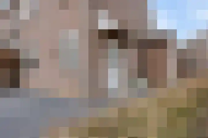 Bereklauw 25 Cuijk thumbnail 8