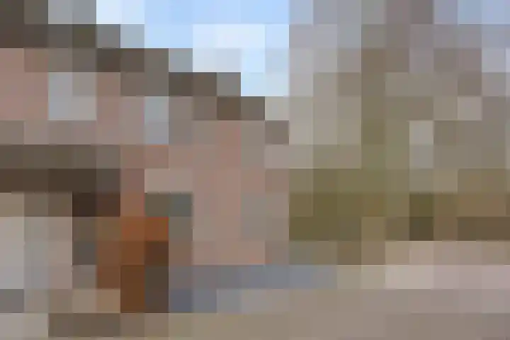Bereklauw 25 Cuijk thumbnail 9