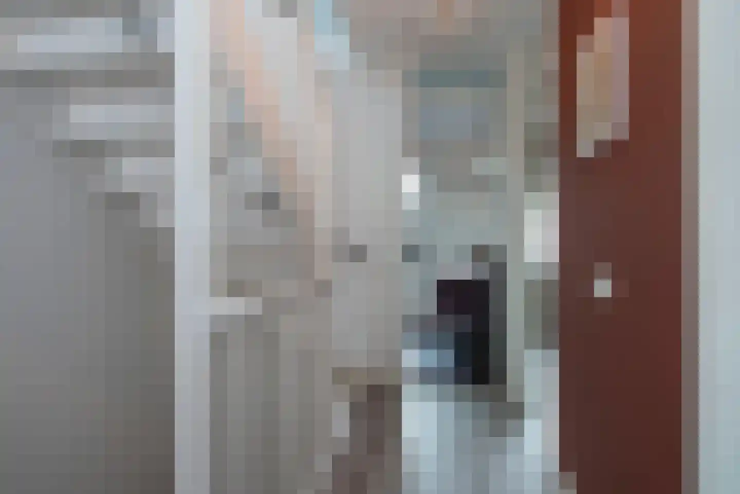 Bereklauw 3 Rijssen thumbnail 17