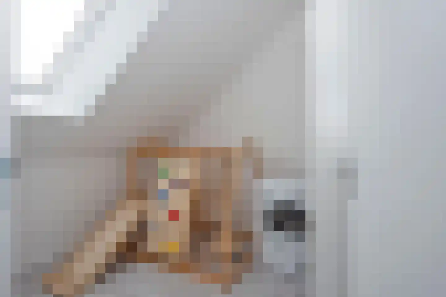 Bereklauw 3 Rijssen thumbnail 26