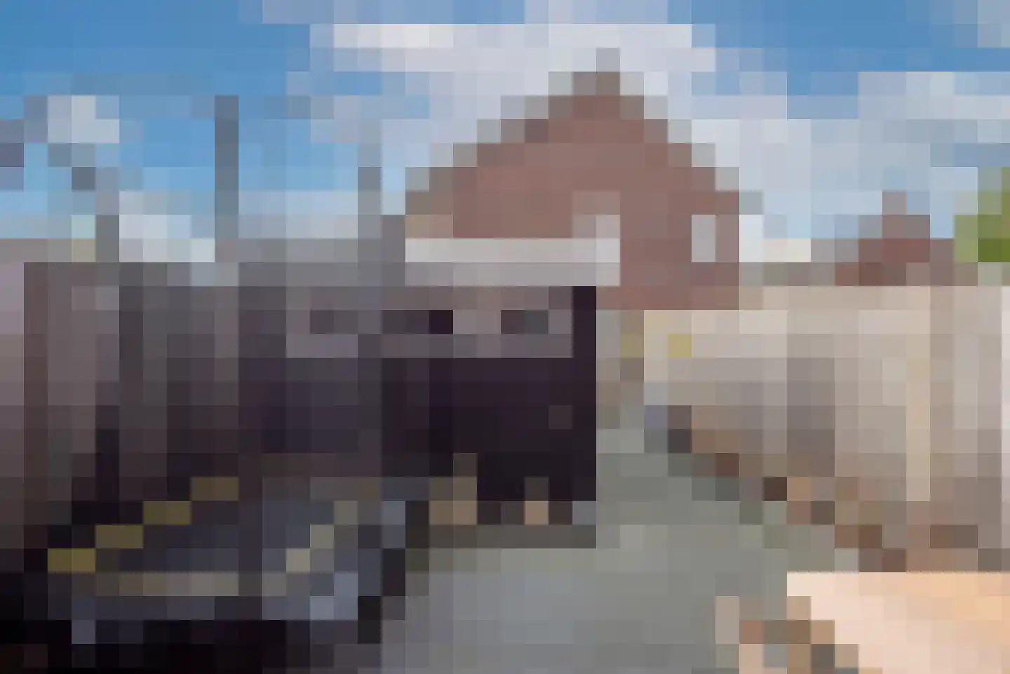 Bereklauw 3 Rijssen thumbnail 27