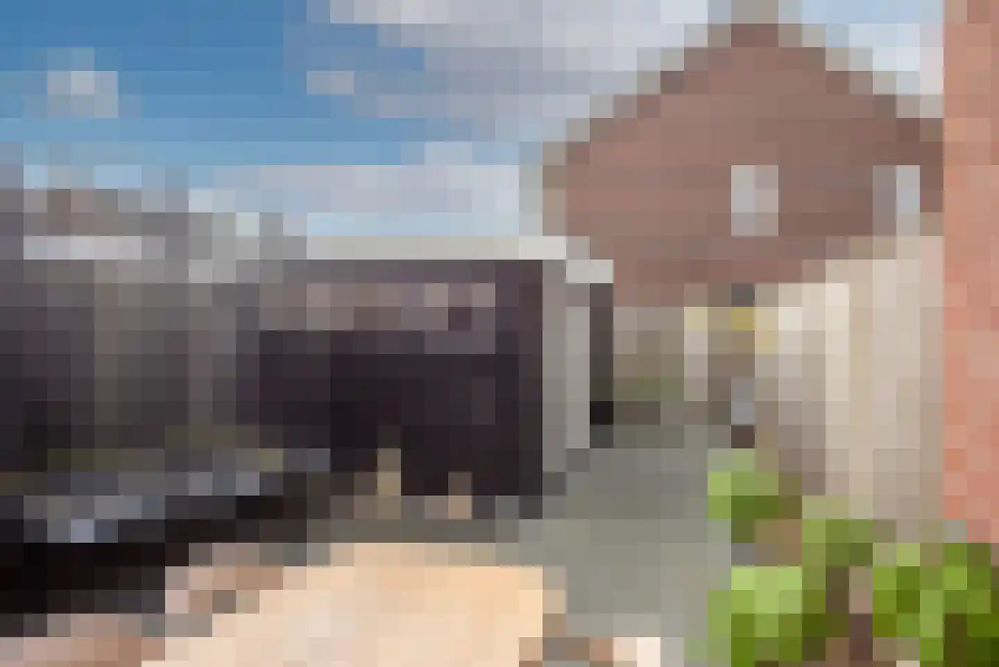Bereklauw 3 Rijssen thumbnail 28