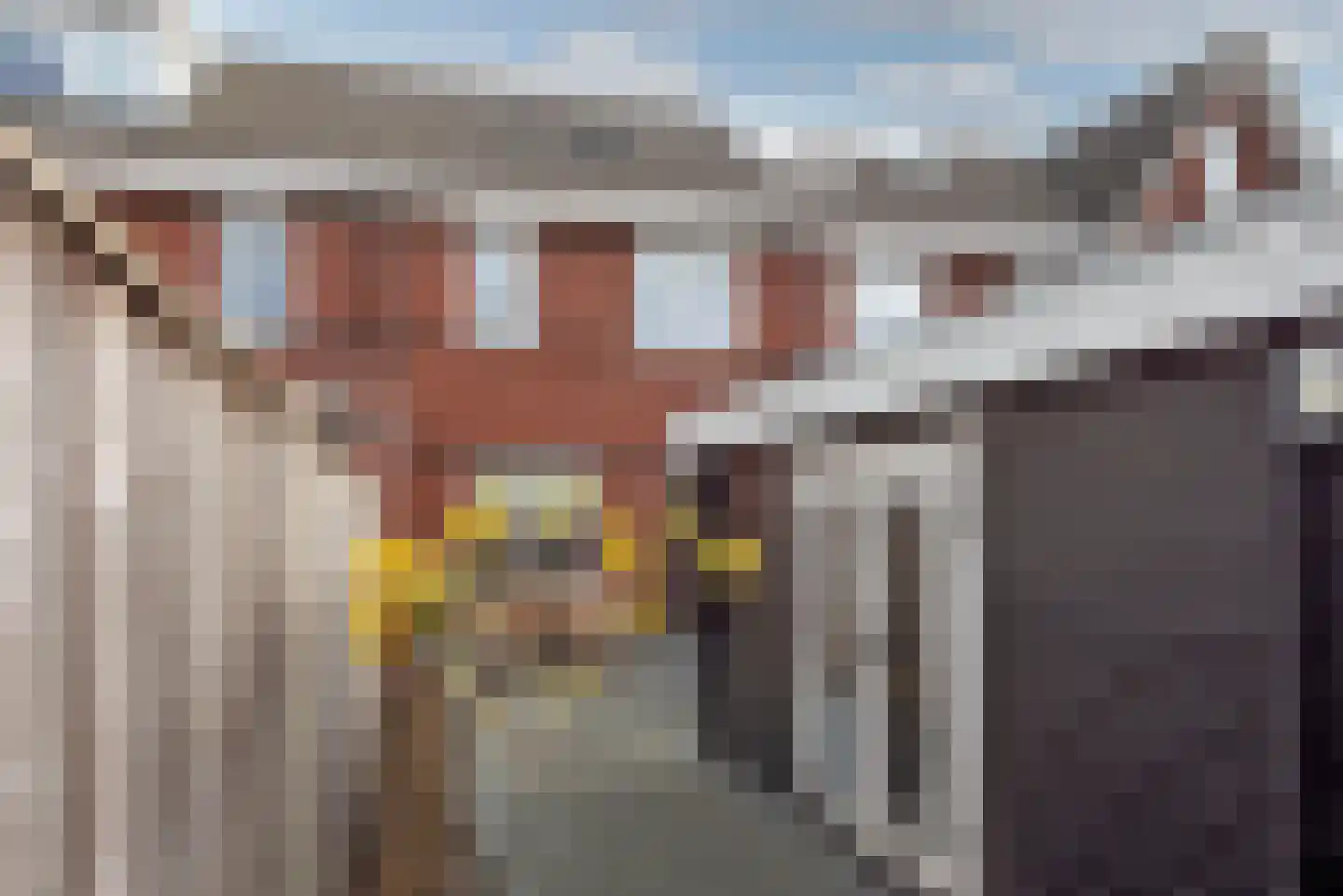 Bereklauw 3 Rijssen thumbnail 29