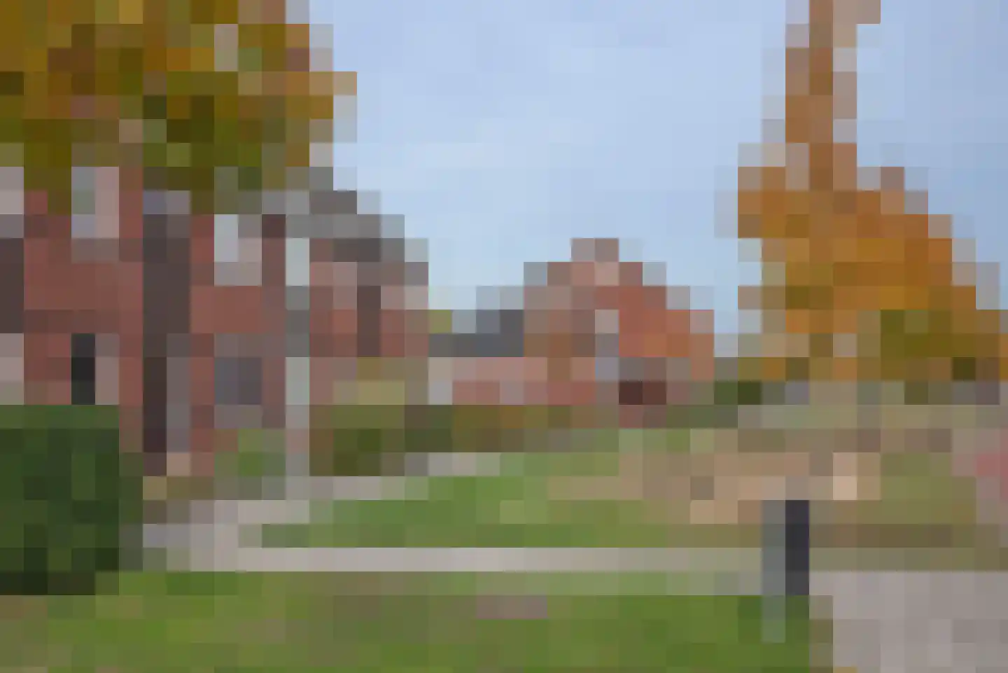 Bereklauw 3 Rijssen foto 3