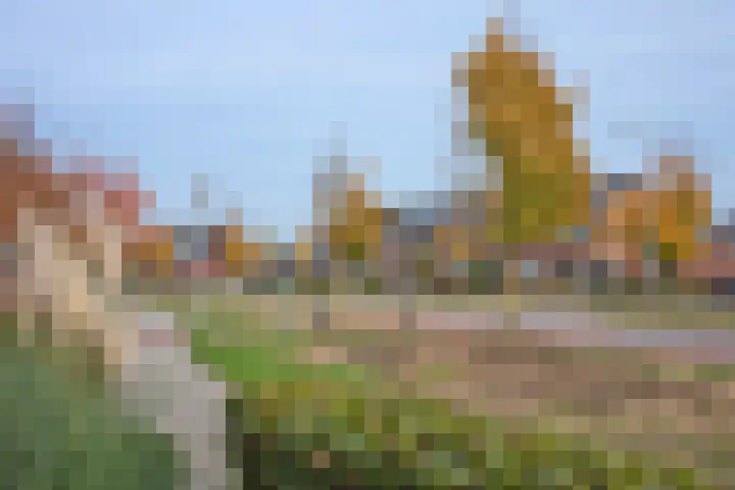Bereklauw 3 Rijssen thumbnail 4