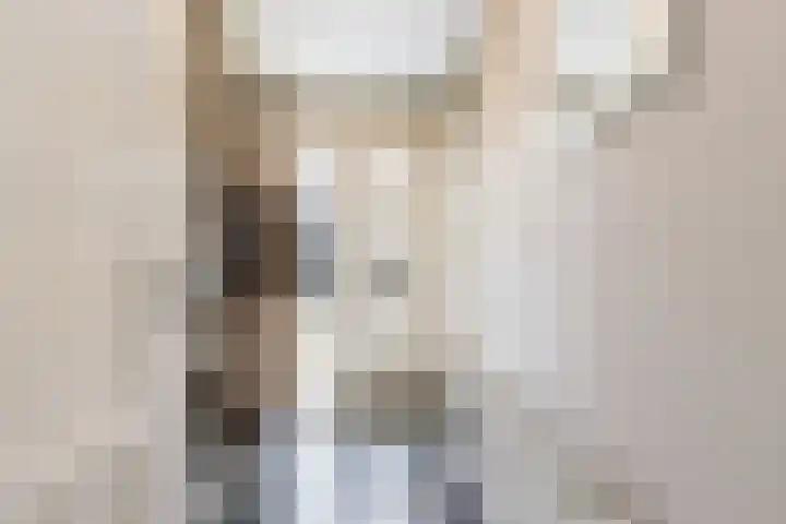 Bereklauw 3 Werkendam thumbnail 10