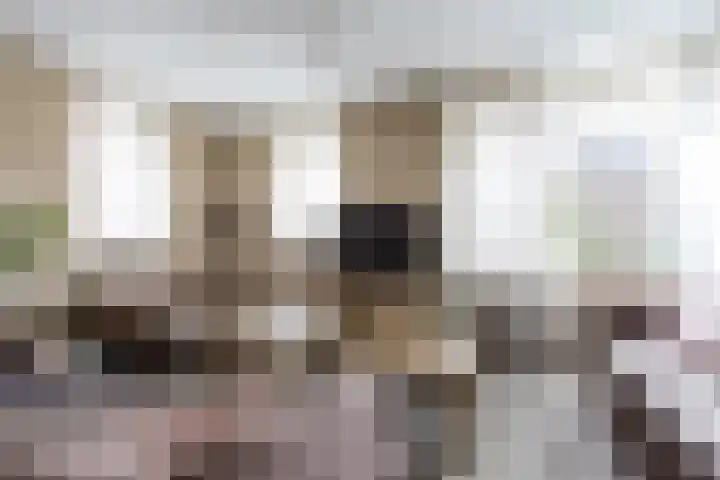 Bereklauw 3 Werkendam thumbnail 14
