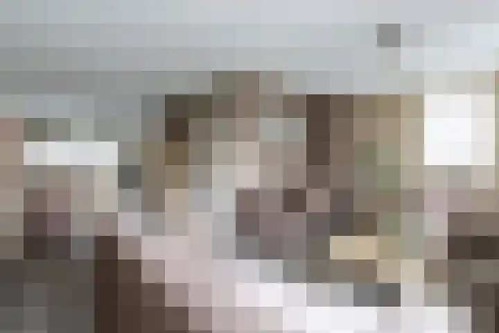 Bereklauw 3 Werkendam thumbnail 17