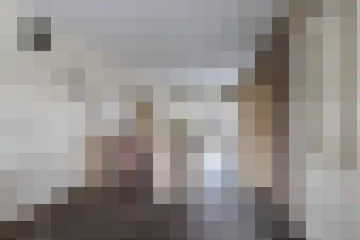 Bereklauw 3 Werkendam thumbnail 18