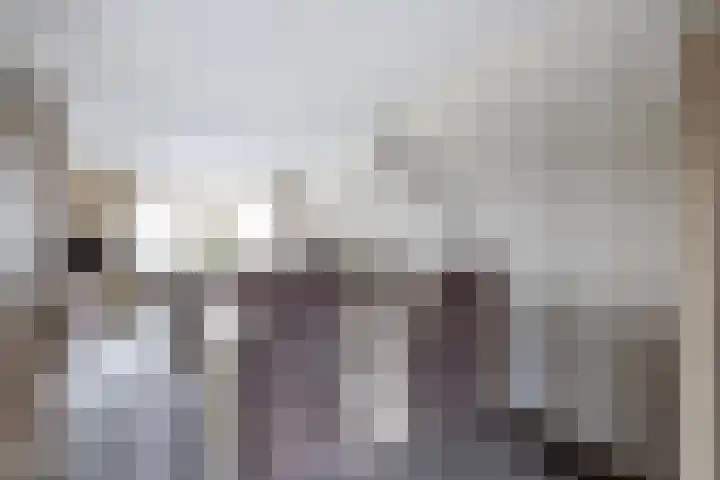 Bereklauw 3 Werkendam thumbnail 19