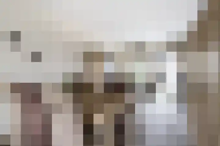 Bereklauw 3 Werkendam thumbnail 20