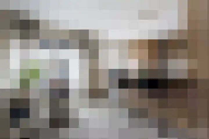 Bereklauw 3 Werkendam thumbnail 22