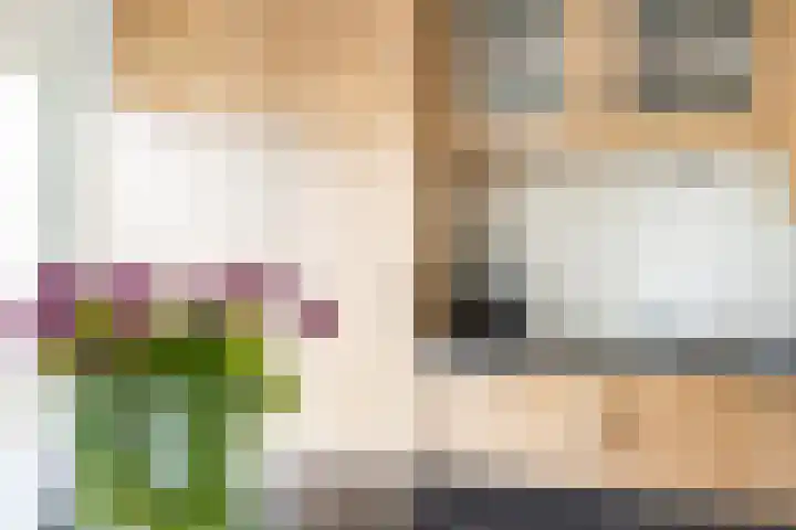 Bereklauw 3 Werkendam thumbnail 28