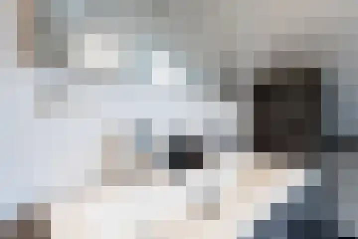 Bereklauw 3 Werkendam thumbnail 44