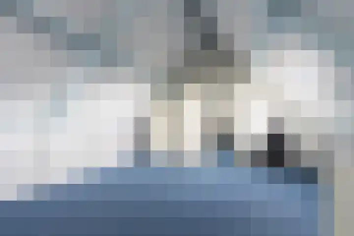 Bereklauw 3 Werkendam thumbnail 45