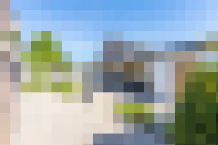 Bereklauw 3 Werkendam thumbnail 48