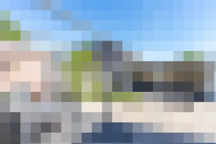 Bereklauw 3 Werkendam thumbnail 51