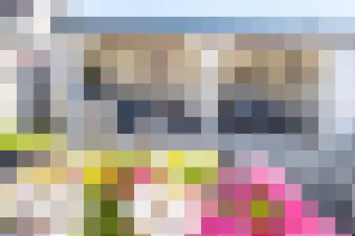 Bereklauw 3 Werkendam thumbnail 55