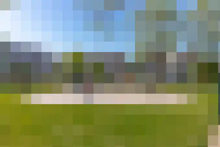 Bereklauw 3 Werkendam thumbnail 61