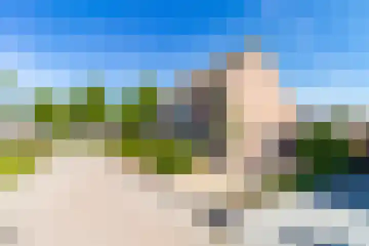 Bereklauw 3 Werkendam thumbnail 7